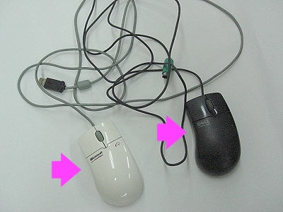 除去対象：マウスのマウス部分